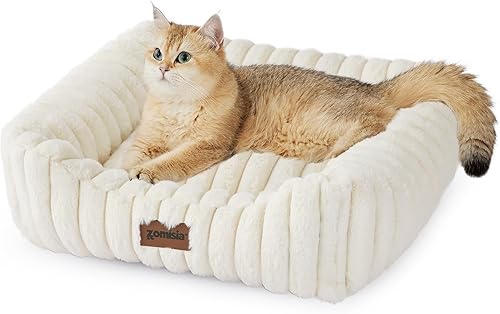 Camas pequeñas para perros pequeños - Camas lavables para gatos de interior, cama ortopédica rectangular para cachorros con funda extraíble