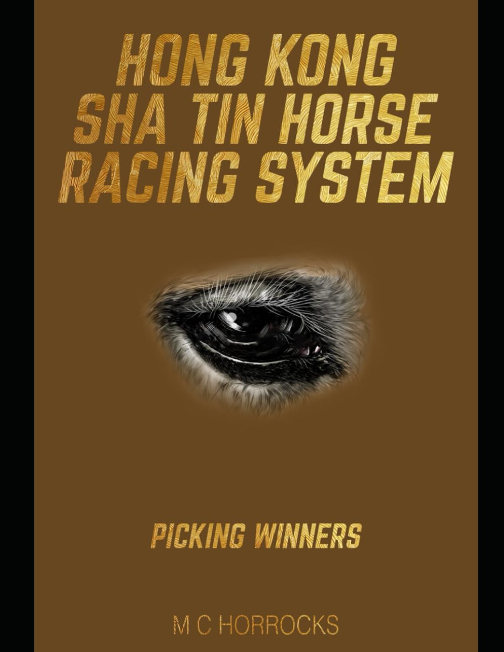 Hong Kong Sha Tin Horse Racing System: Picking Winners