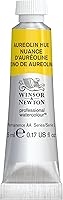 Vista 95 de Winsor & Newton - Pintura para acuarela profesional