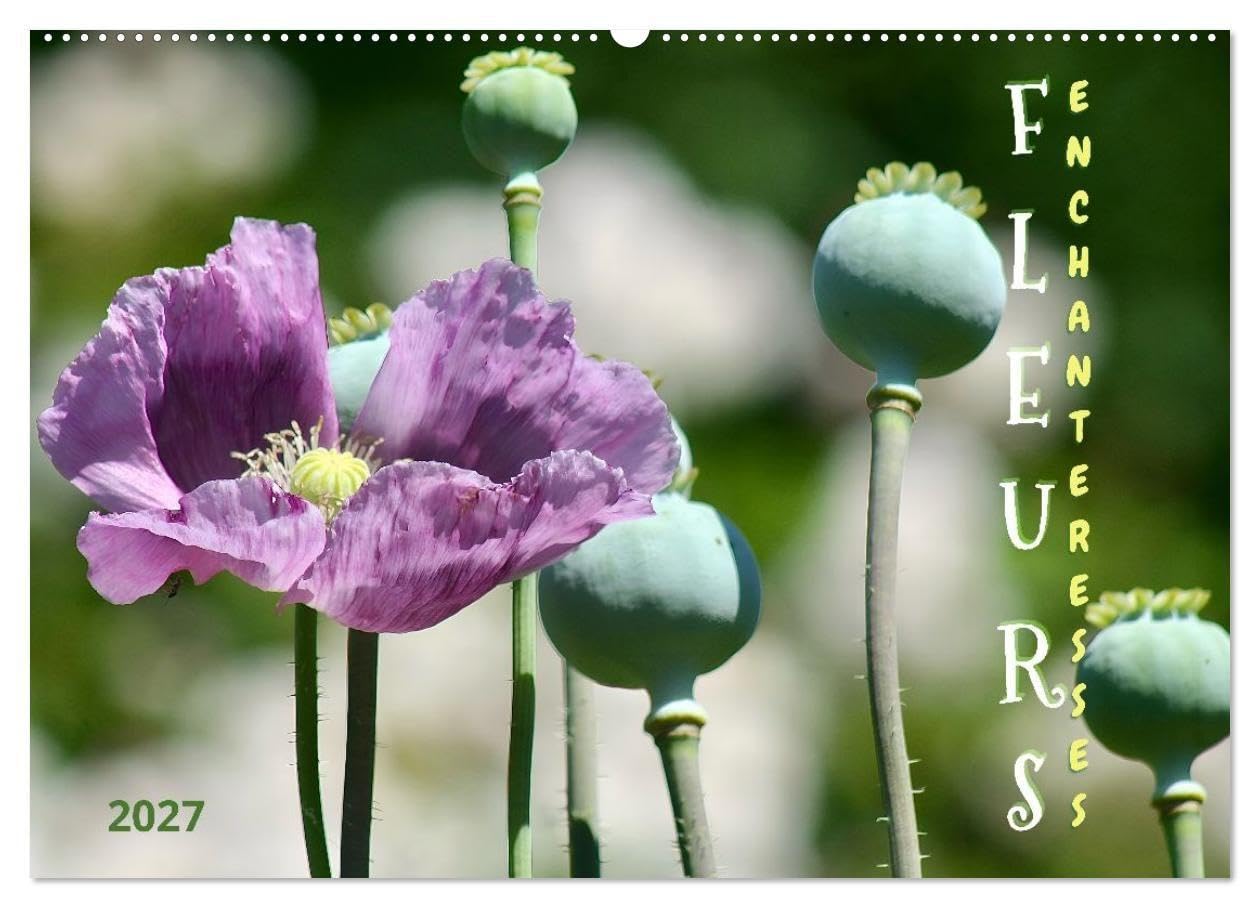 DES FLEURS ENCHANTERESSES (Calendrier mural 2027 DIN A2 vertical), CALVENDO calendrier mensuel: Découvrez la beauté de la nature avec ces gros plans floraux uniques.