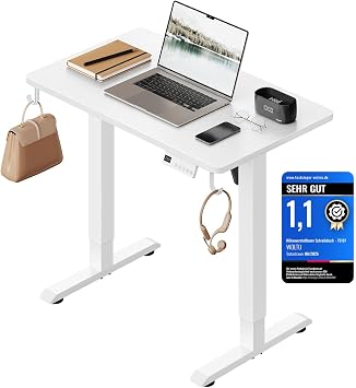 WOLTU Height Adjustable Electric Desk 80 x 48 cm White