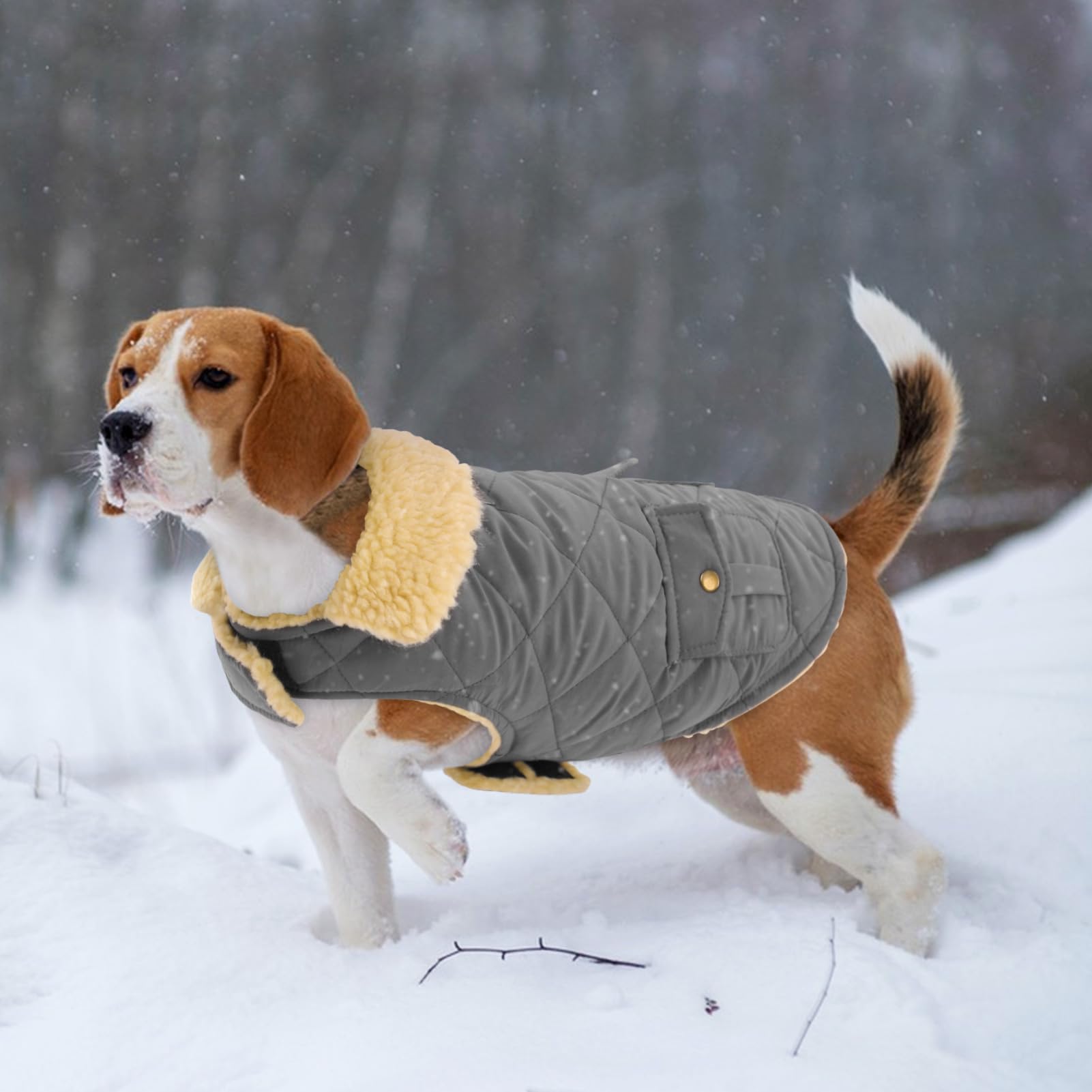 Abrigo Grande para Perro, Chaqueta cálida para Perros extragrandes, Abrigo de Invierno para Perro, Resistente al Viento, Abrigos para Clima frío, Chaqueta de Nieve para Perros, Ropa para Mascotas,