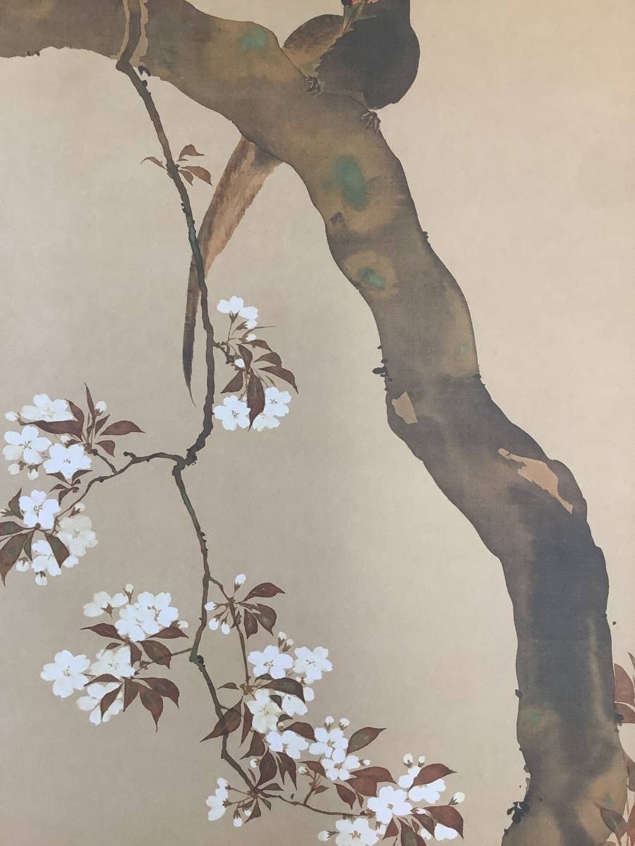 Amazon.co.jp: 模写掛軸R4-9-19B酒井抱一『桜に雉子図』絹本 工芸 印刷