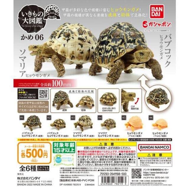 Amazon | いきもの大図鑑 かめ06 全6種フルコンプセット | カプセル