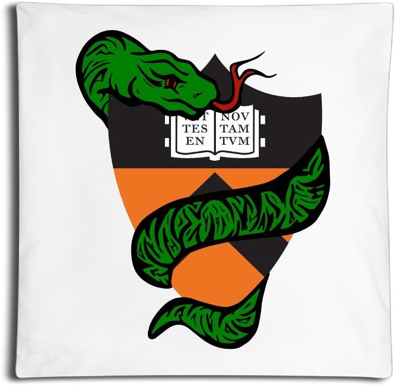 LBGN Unique Princeton Logo Throw Pillow Shell One Side 18 Inches Square