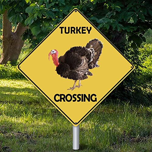 Plaque en métal Turkey Xing, le cadeau rétro parfait pour passionnés de décoration