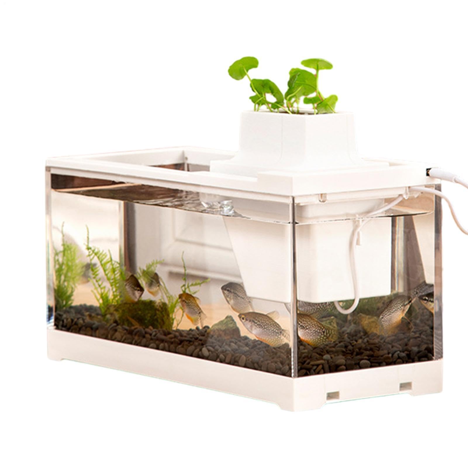 Acuario de Escritorio, pecera de Escritorio Acuario pequeño, Abierto, | Acuario de escritorio Mini pecera transparente para escritorios, mesas, estante