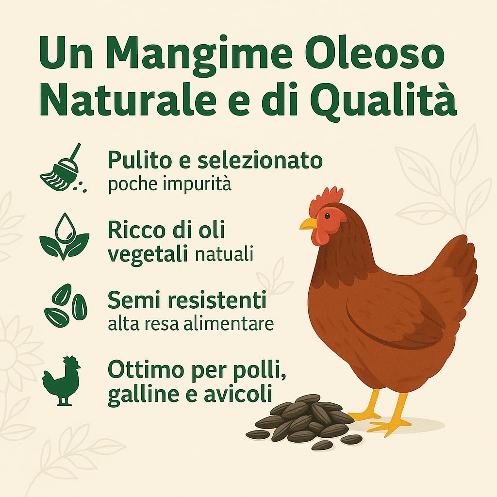 Girasole in Acini per Pollame, Mangime Oleoso Naturale, Semi di Girasole Interi Selezionati, Uso Zootecnico, No OGM