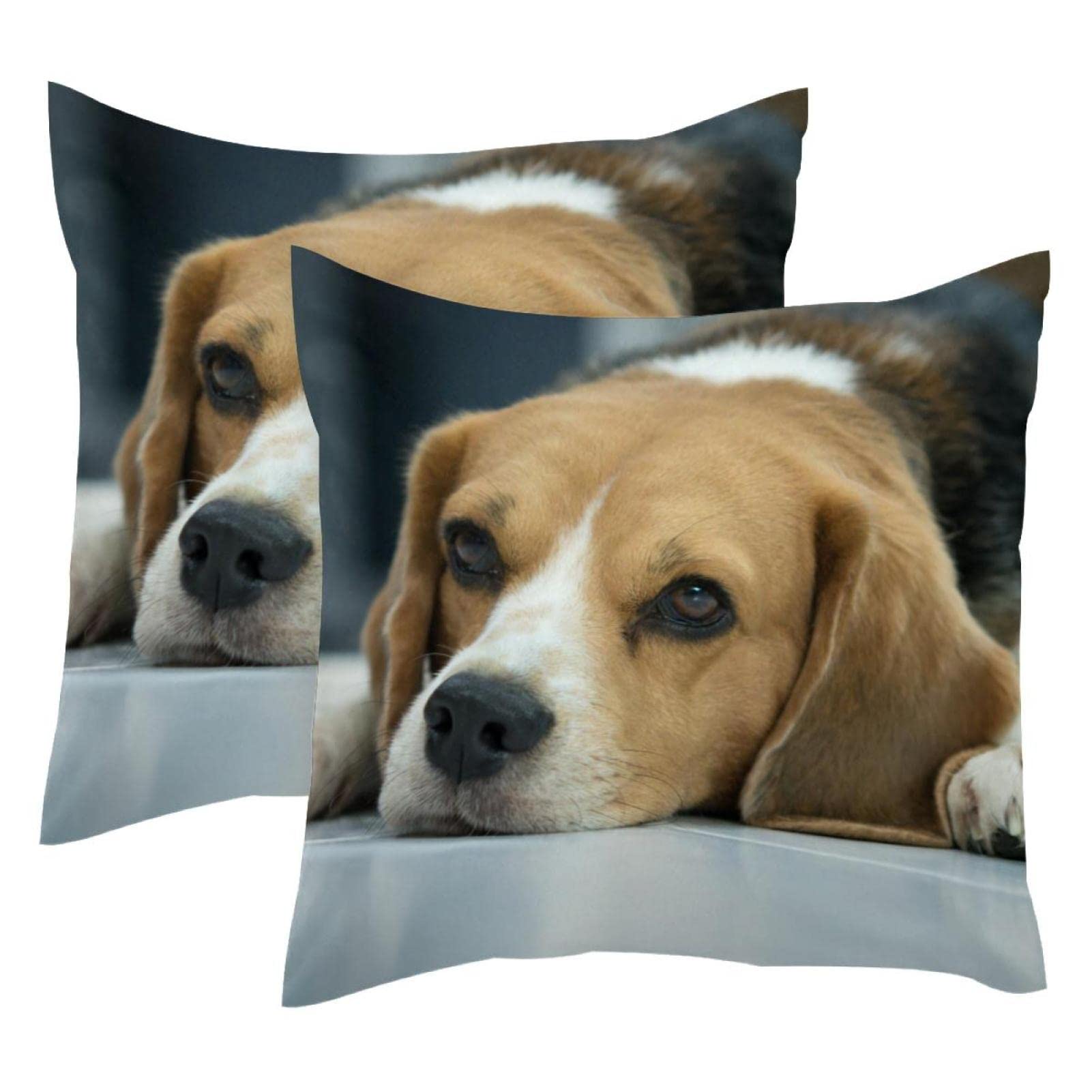 Coussin lombaire imprimé animaux pour un salon style campagne chic et chaleureux
