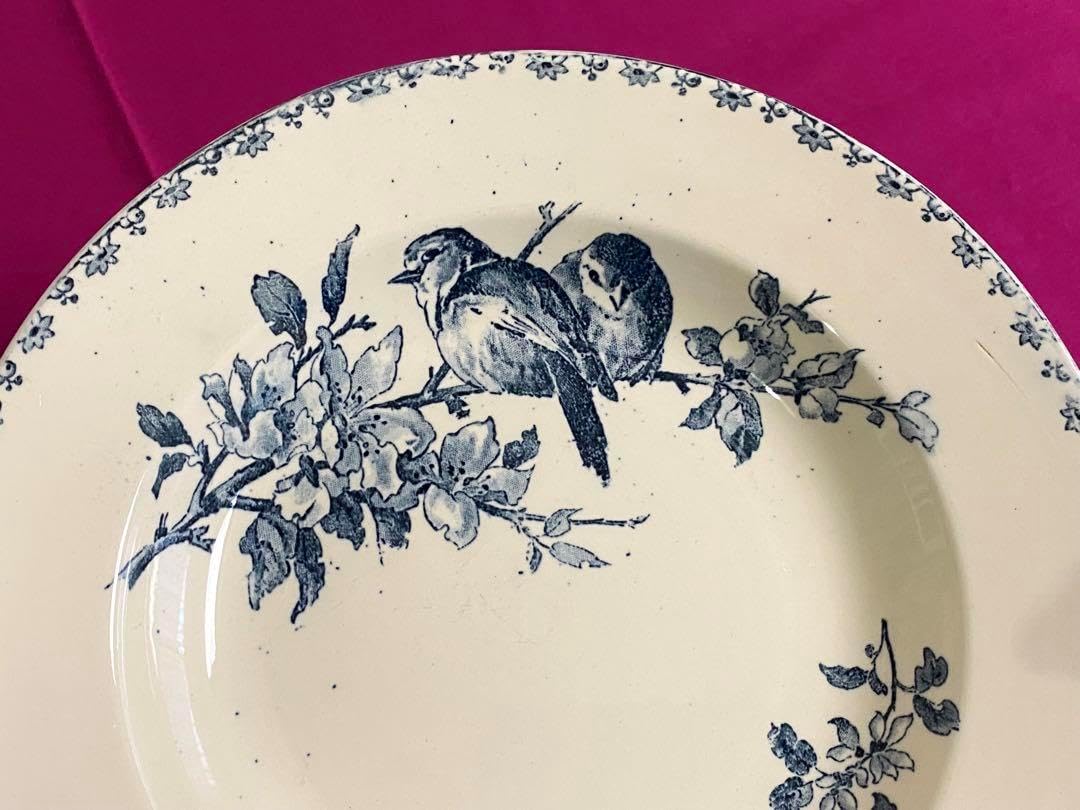 大倉陶園　メイグリーン　スープ皿　6枚　MAYGREEN　ディーププレート 大倉陶園 メイグリーン スープ皿 6枚 MAYGREEN ディーププレート メイ