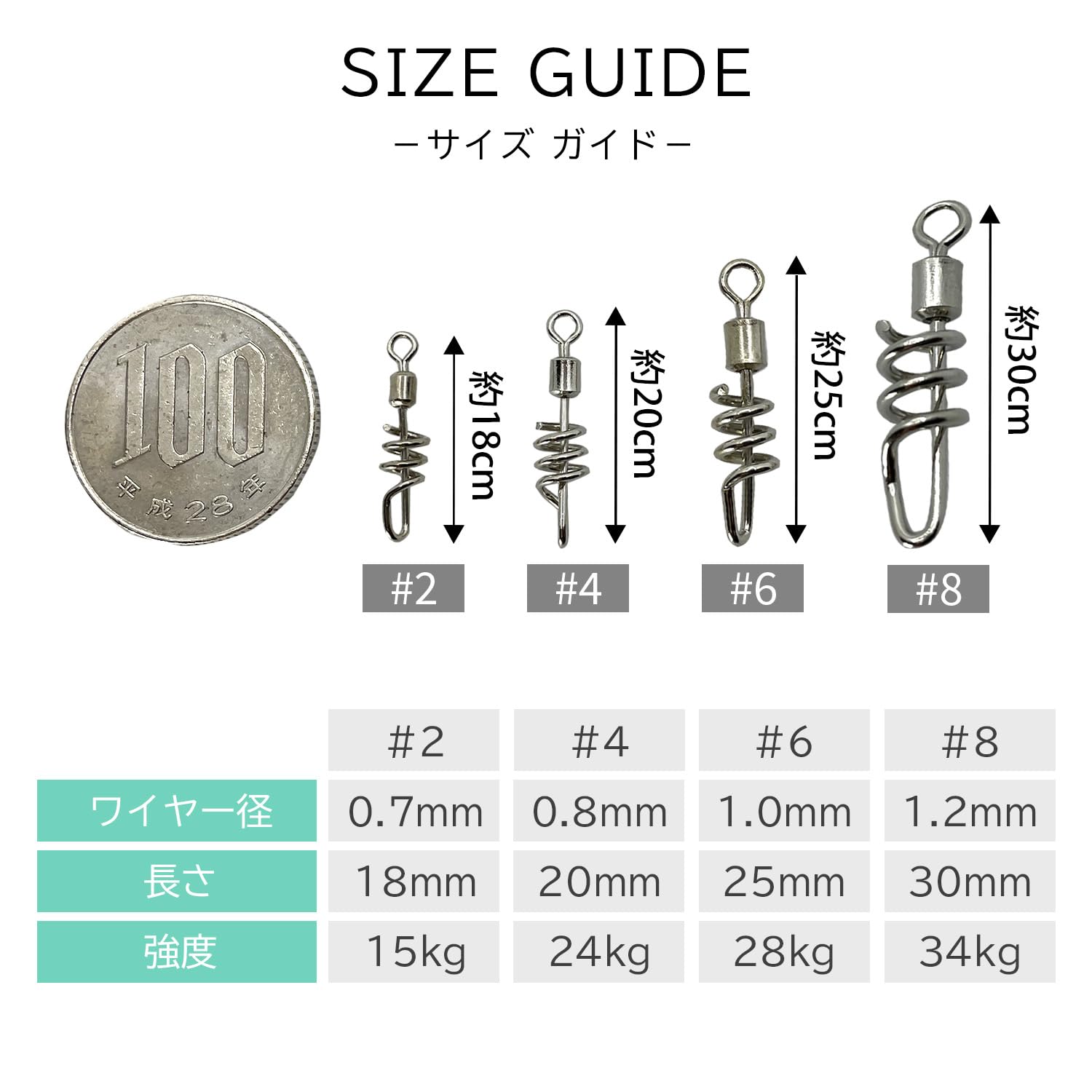 法螺貝② 法螺貝（ほら貝）販売のお店