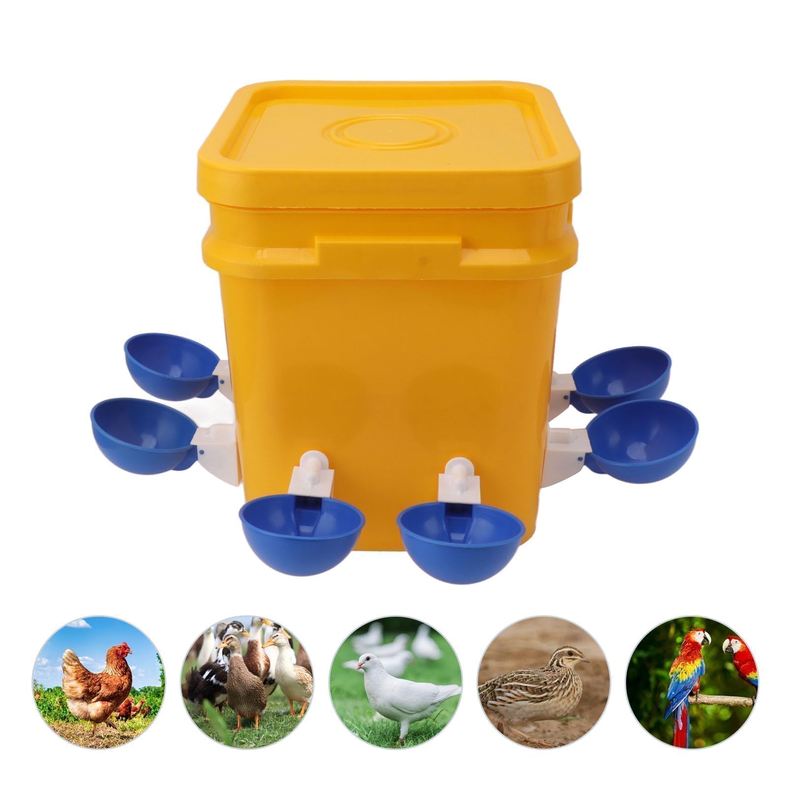Abbeveratoio Automatico per Pollo Gallinella Fornisce Abbeveratoio per Pollo Mangiatoia e Abbeveratoio per Pollo da 12 Litri per Pollame (Secchio + grande ciotola blu + viti nere)