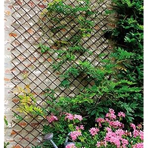 Glant Lattice Fence Willow Expandable Plant Climbing Lattices Trellis Fence,Open Screen Willow Fencing,Willow Expandable Trellis Fence (1) Glant Lattice Fence Willow Expandable Plant Climbing Lattices Trellis FenceOpen Screen Willow FencingWillow Expandable Trellis Fence 1