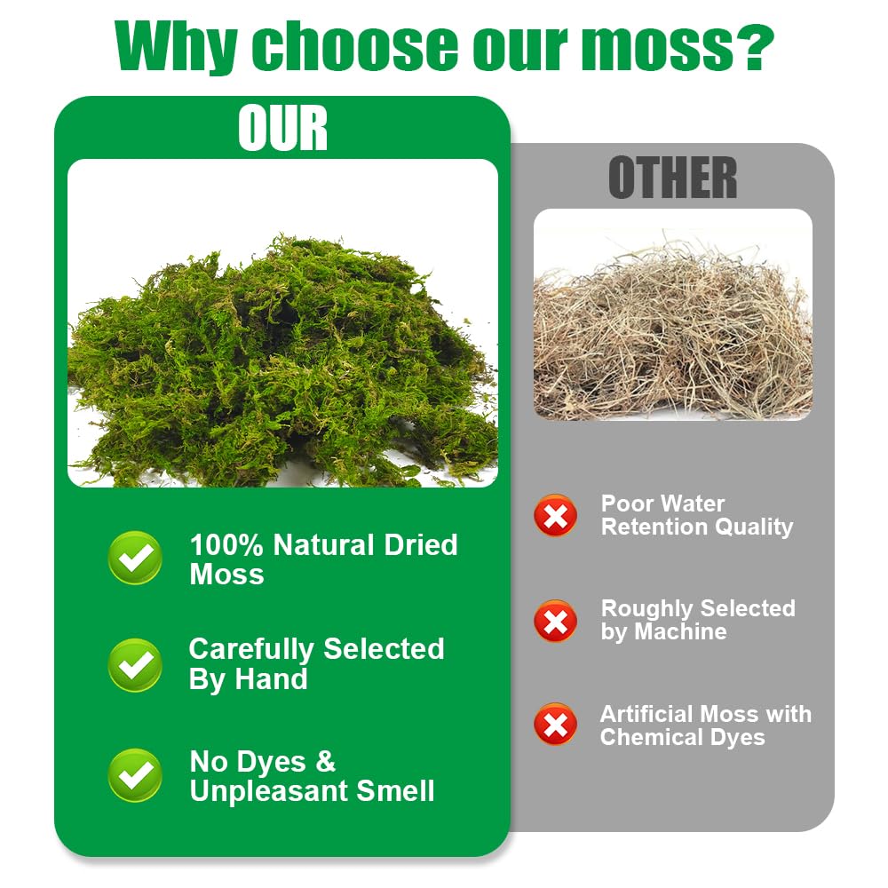 Musgo Sphagnum, 2 x 150 g Musgo para Orquideas, Musgo Natural Sphagnum Moss, Sustrato Orquideas Sustrato Bonsai para Orquídeas, Plantas, Enraizamiento de Esquejes, Reptiles