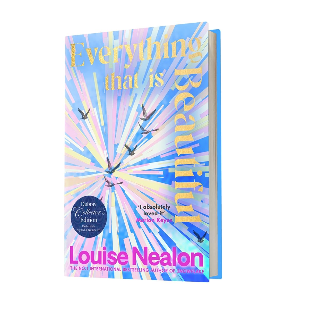 Everything That Is Beautiful: From the international bestselling author of SNOWFLAKE - an unforgettable story of two families riven by one great secret