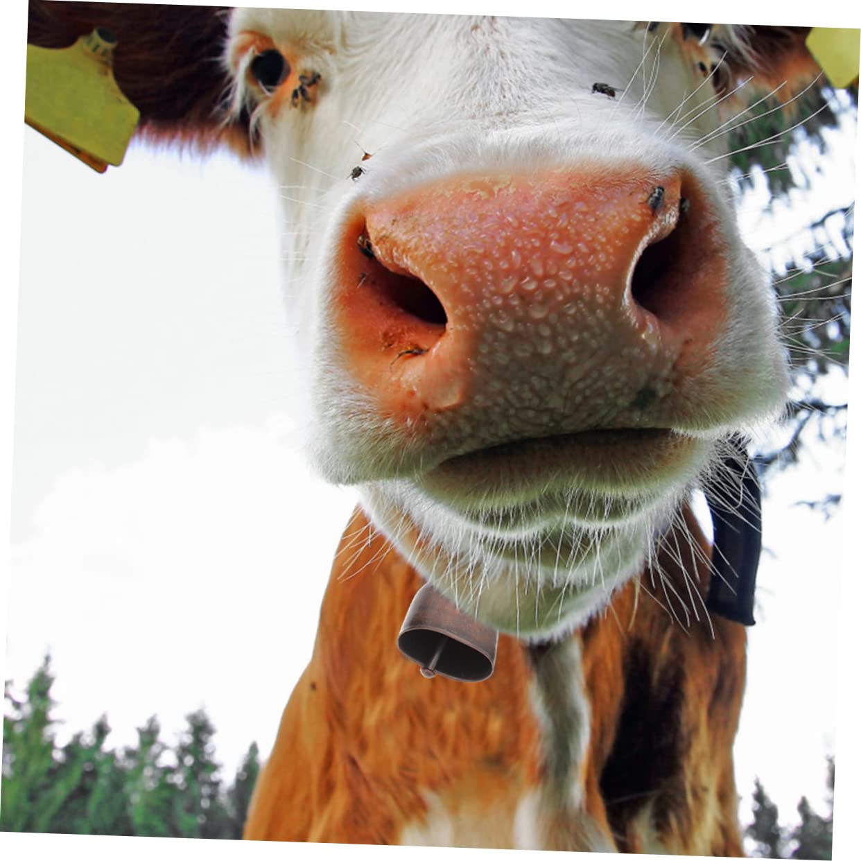 Cloches Suspendues En Bronze, Cloches De Noël Vintage Couleur Laiton, Clochette Grelot Pour Carillons éoliens, Décoration D'arbre De Noël, For Maison