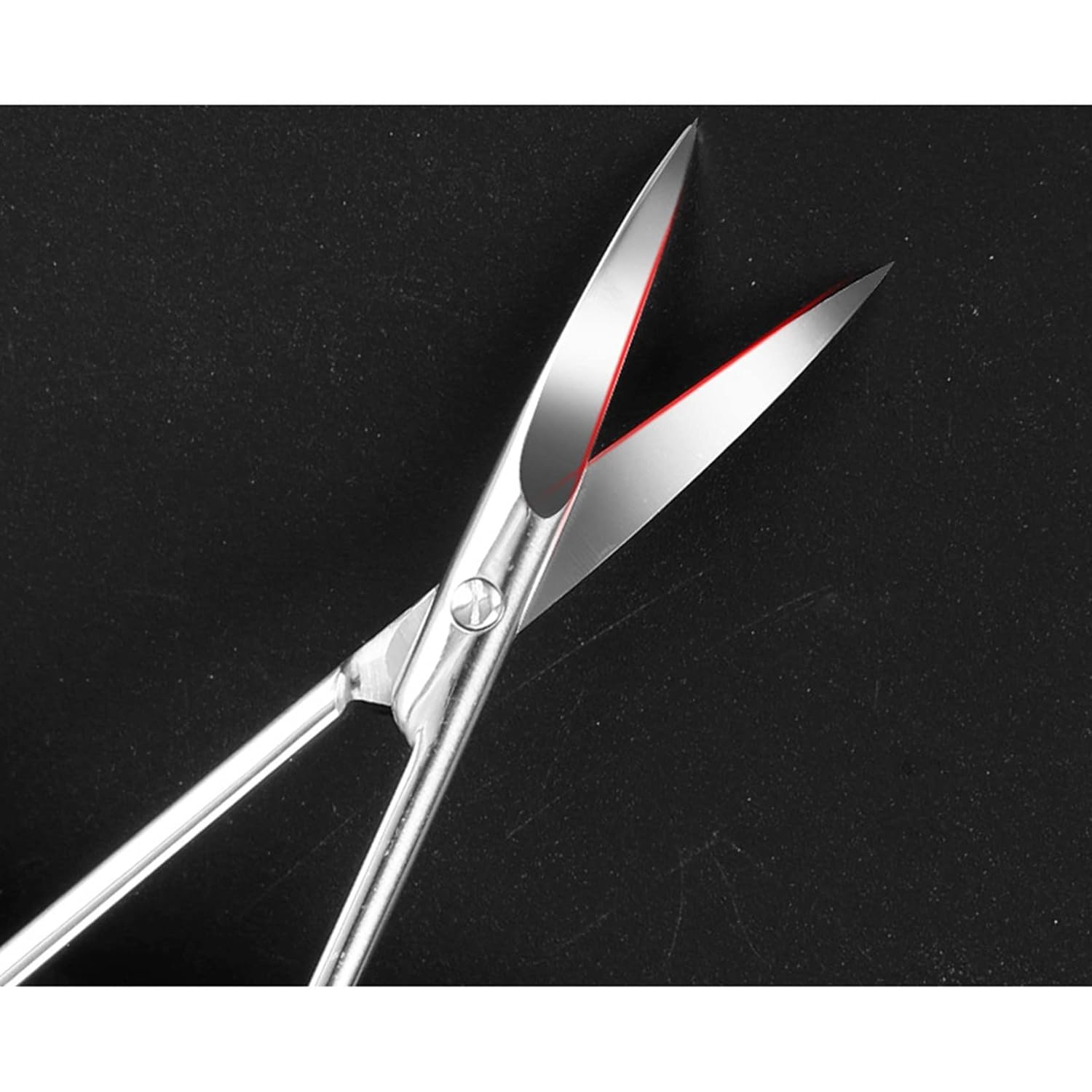 Eyebrow Scissors Beauty Scissors Hair Grooming Trimming Scissors Stainless Steel Beauty Tool for Beard Eyebrow Nose Hair Mustache : Beauty & Personal Care