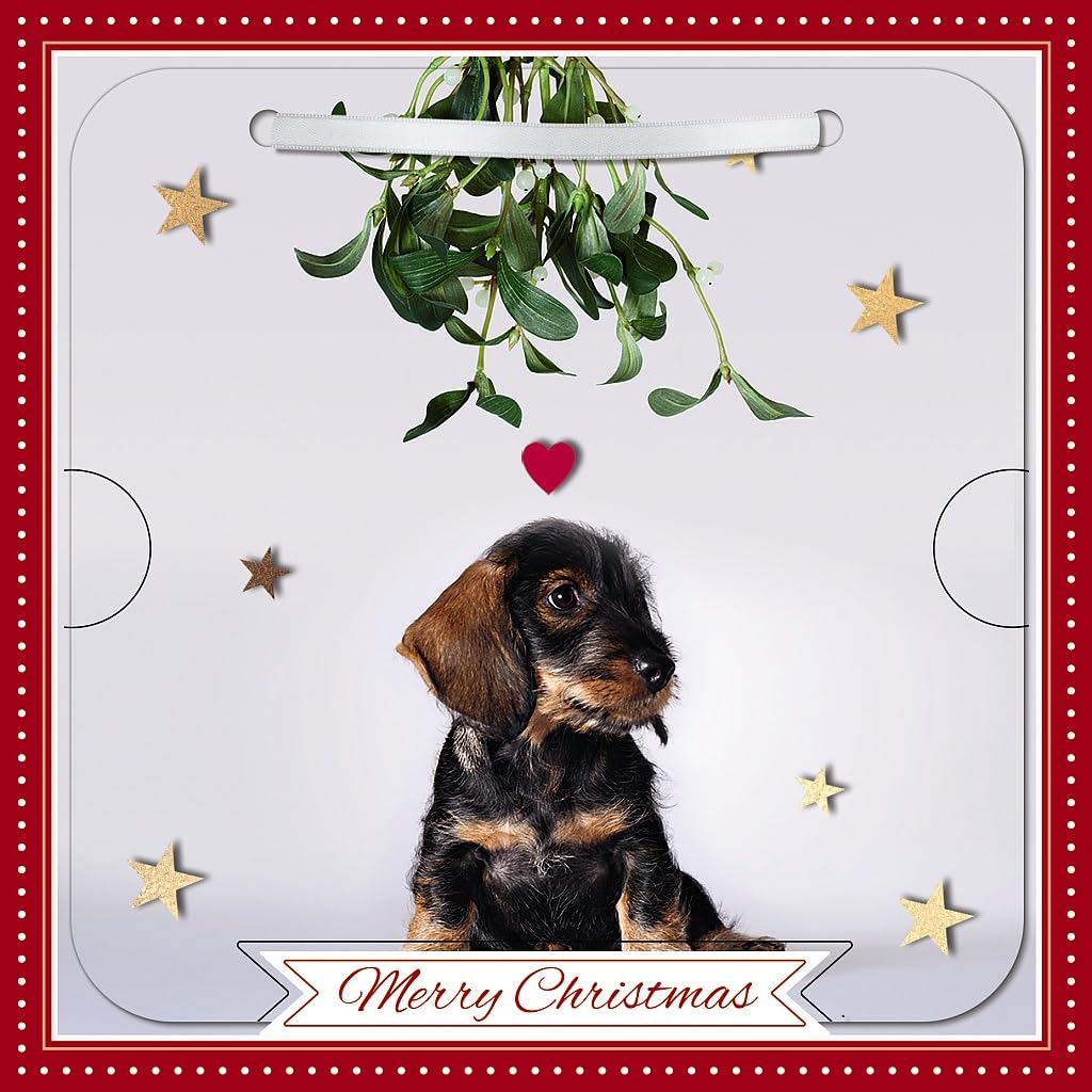 Carte Blanche Photographic 3D Lenticular Merry Christmas Single Greeting Card with Detachable Keepsake to Treasure