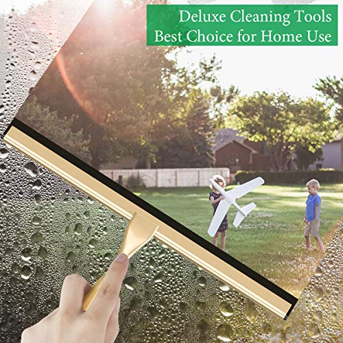 Image of Stainless Steel Squeegee for Shower Doors, All-Purpose Shower Squeegee for Bathroom, Window and Car Glass, 14 Inches