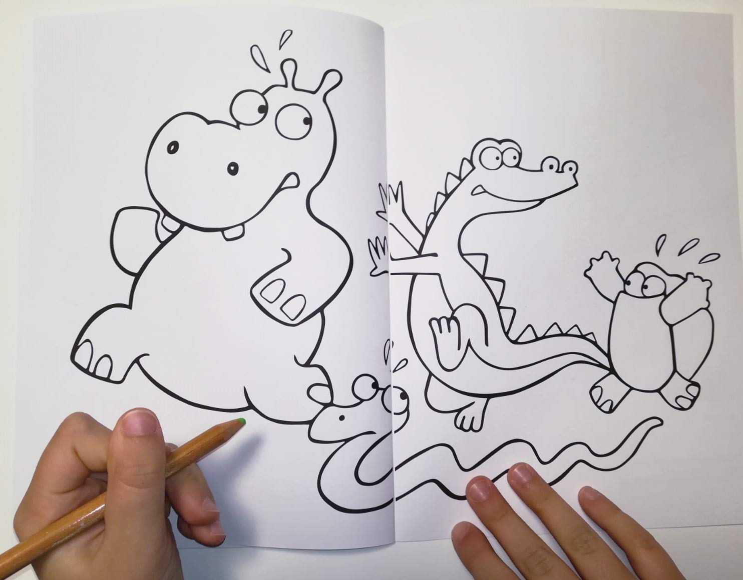 Animali in Rima. Libro per bambini con album da colorare