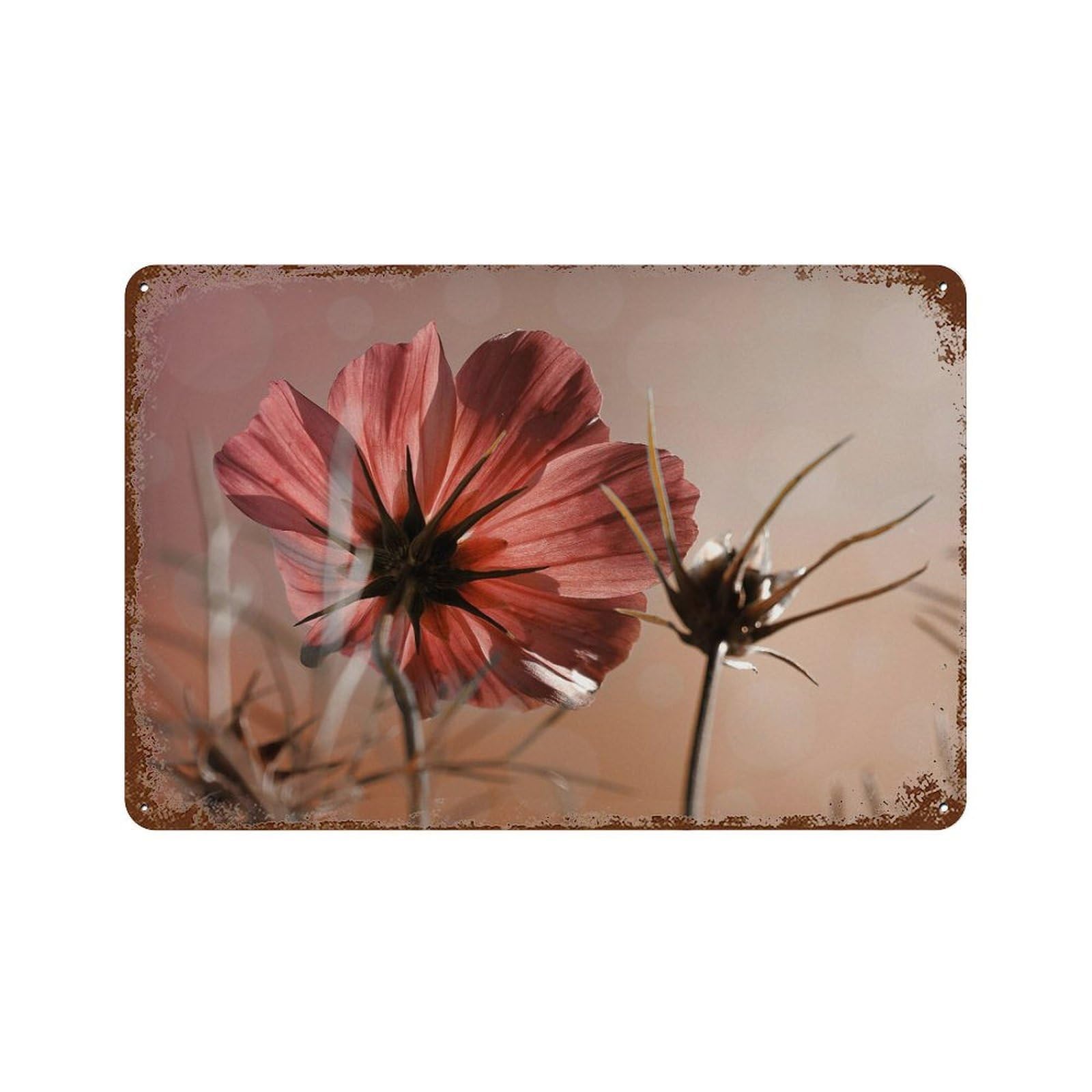 xiaoxiaoshen Pink Cosmos Flower Botanical Wall Decor Art Metal Tin Poster Modern Home Decor Art Home Bar Shop Decorations Vintage Sign 20x30cm