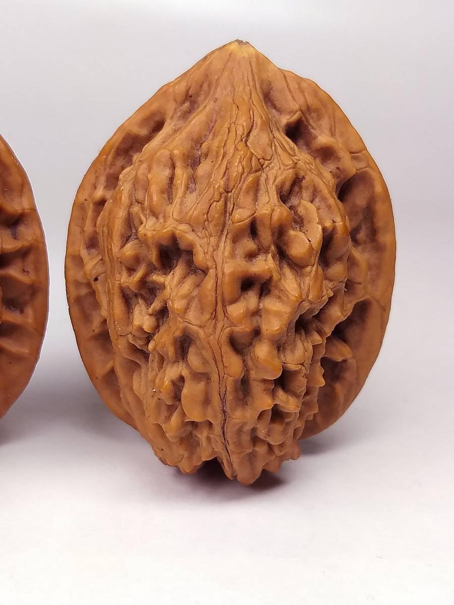 龍鼎核桃、クルミ、文玩 Amazon.co.jp: 壽 天然野生最高級大特殊珍稀品種極品文玩核桃くるみ(鶏