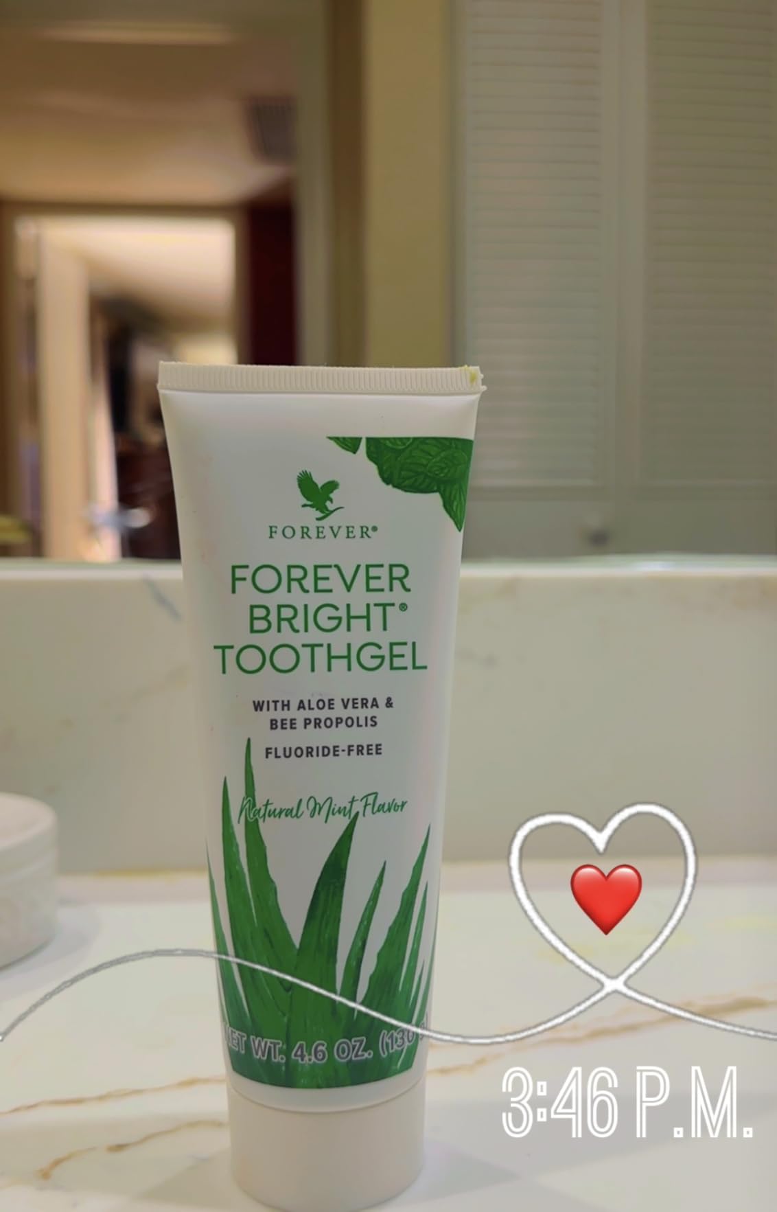 sukkulente aloe vera pflege Aloe vera | Sukkulente main image 1
