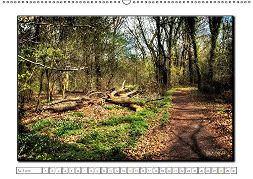 Der Neuenburger Urwald (Wandkalender 2018 DIN A2 quer): Peter Roder mit faszinierenden Bildern aus dem Naturschutzgebiet Neuenburger Urwald im ... ... Natur) [Kalender] [Apr 01, 2017] Roder, Peter