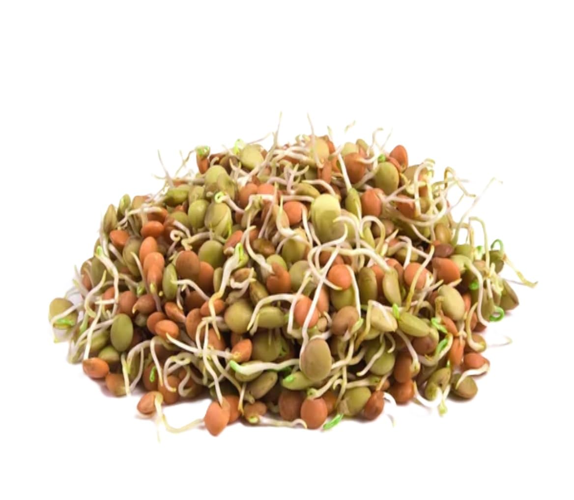 Fresh Sprouts Mix 200 gm.