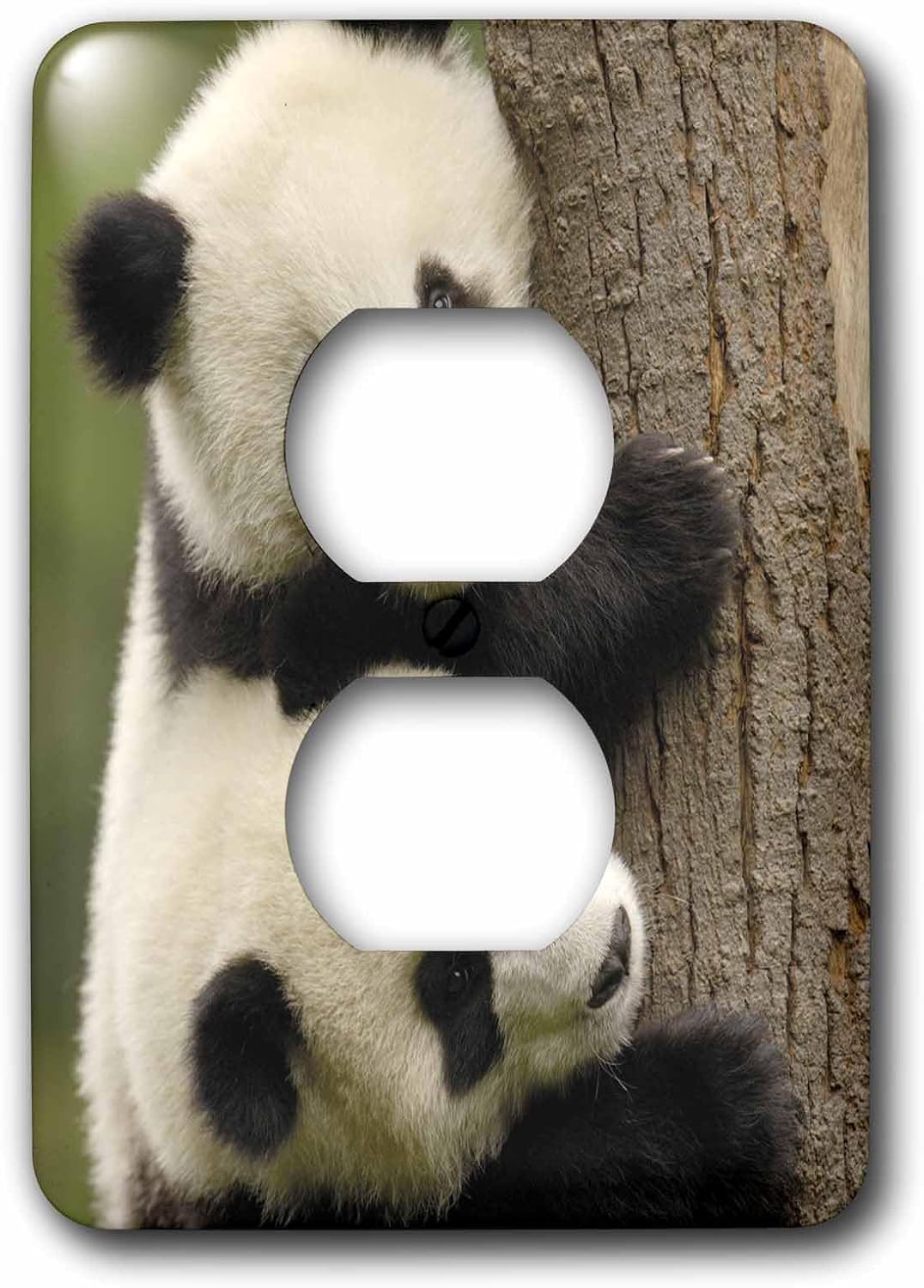 3dRose LLC lsp_70216_2 Giant Panda Bears, Wolong China Conservation, China-As07 Pox0412 Pete Oxford Double Toggle Switch