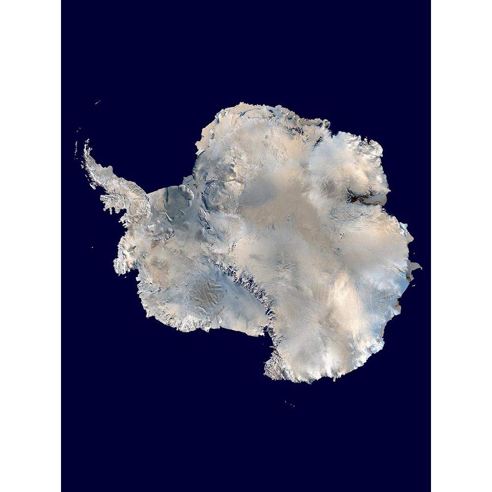 Wee Blue Coo Photo Antarctica Continent Art Print Poster Wall Decor 12X16 Inch