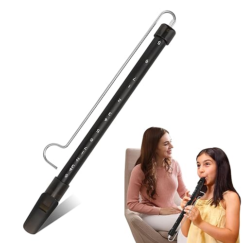 Slide Whistle, Dioche Adjustable Pitch Musical Instrument, for Parent-Games Party Favors, Fun and Creative Gift for Music Lovers, for Parties, Performances