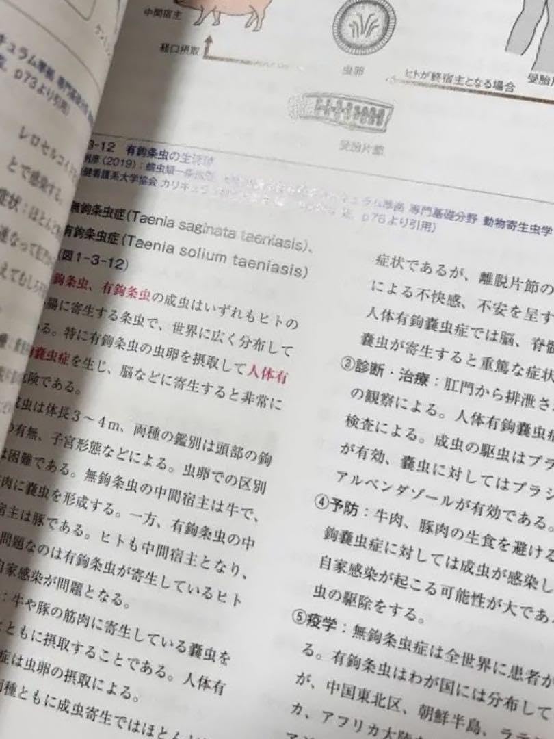 愛玩動物看護師カリキュラム全10冊セット+参考書 Amazon | 愛玩動物看護師カリキュラム準拠教科書 全10巻セット