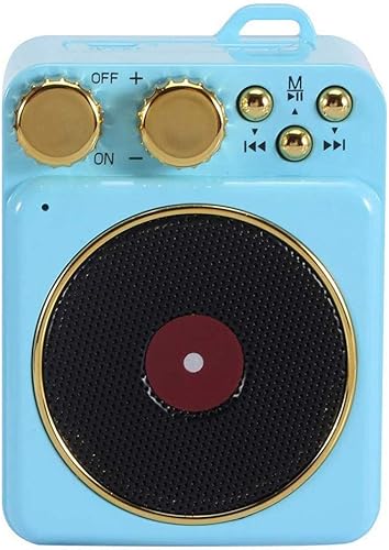 HNKDD Portable AMFM Retro Radio, USB Rechargeable Stereo Radio Speaker, Loudspeaker for Exercising, Walking, Travelling Camping (Color Blue)