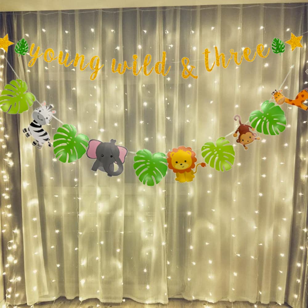 Young Wild & Three Gold Glitter Banner - 3rd Birthday Party Decorations, Happy 3rd Birthday Sign