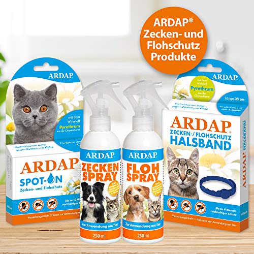 ARDAP Zecken- & Flohschutzhalsband für Katzen ab dem 4. Monat - Bis zu 4 Monate nachhaltiger Langzeitschutz - Natürlicher Wirkstoff gegen Zecken & Flöhe (Packung mit 2)