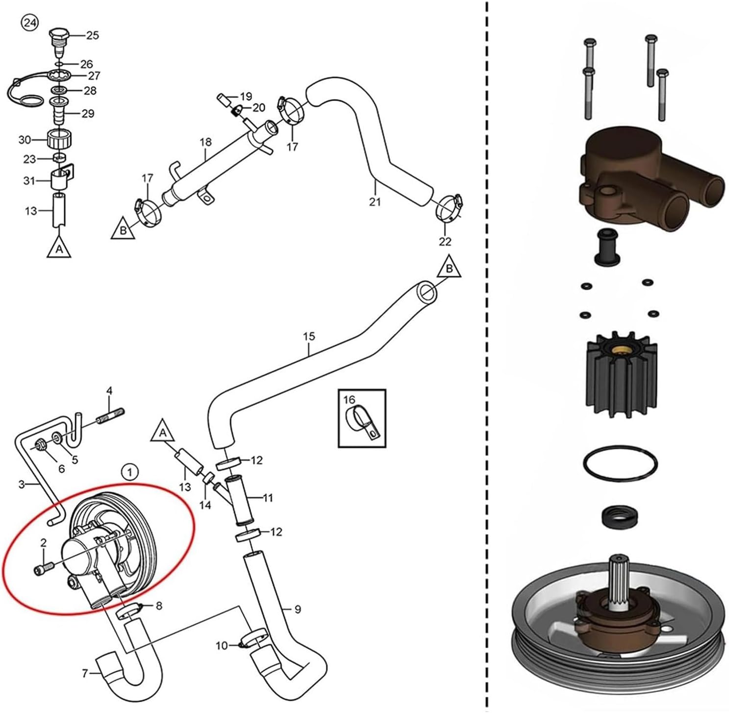 Water Pumps Service 21212799 3812519 21213664 21213660 3812518 3812520 Suitable For Crank Driven Sea Pumps Marine Repair Kit