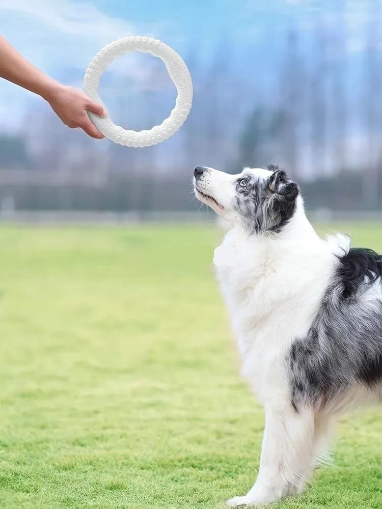 Langlebiges Hundespielzeug für Golden Retriever und Border Collies – bissfest und ideal für das Training