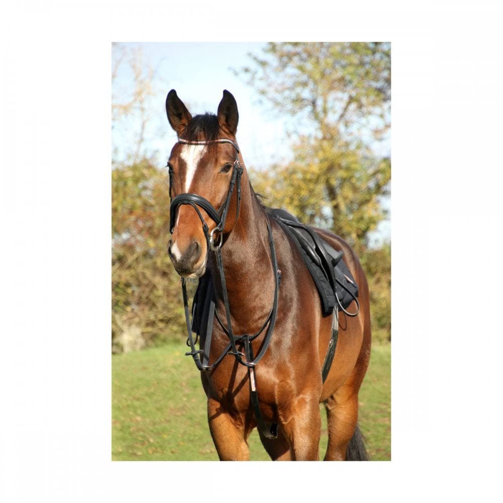 HY EQUESTRIANRosciano Rose Gold Bridle