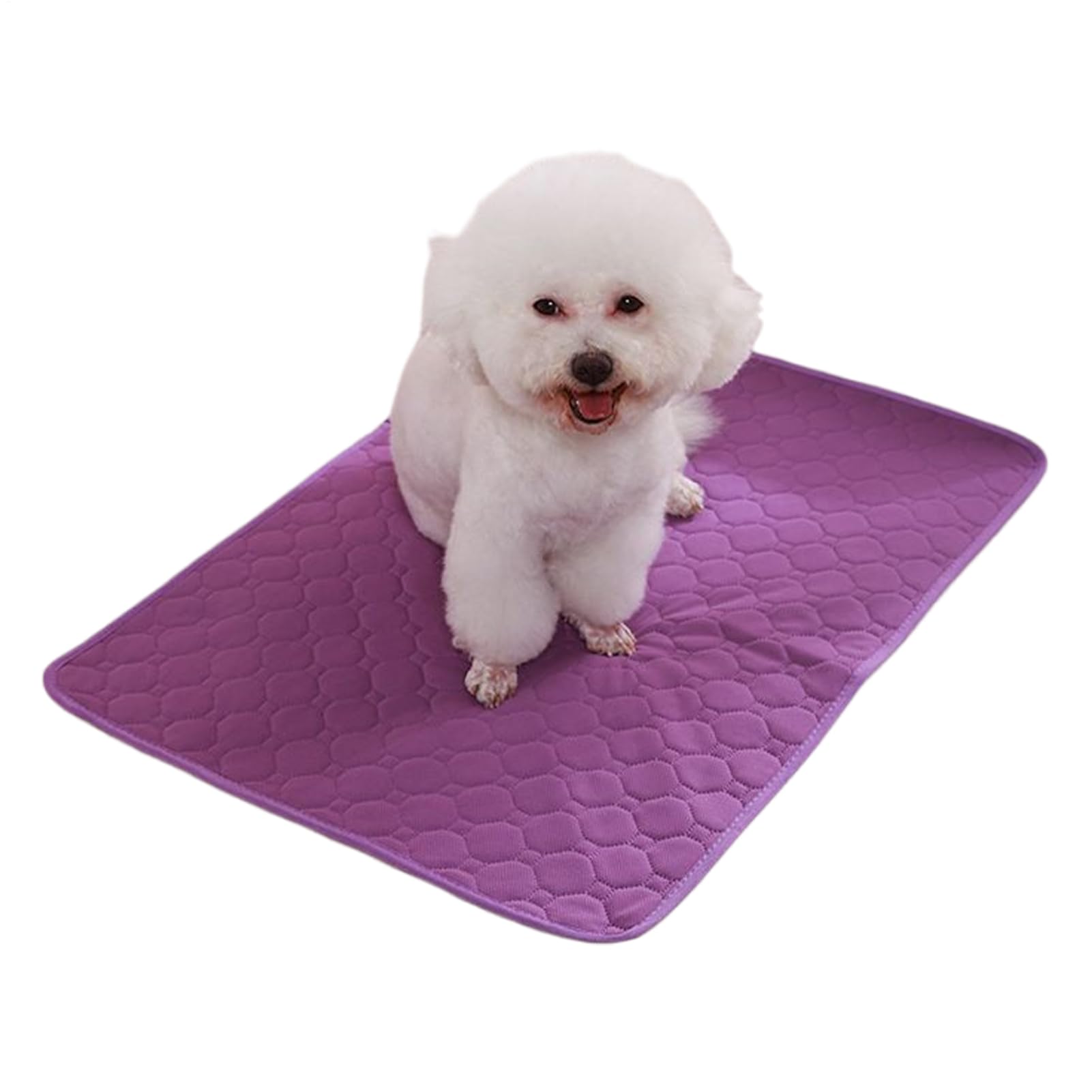Fyrdyn Reusable Pee Pads for Dogs | Reusable Washable Pee Pads for Dogs,Waterproof Leakproof Mats Breathable Pet Supplies for Medium Large Small All Breeds Indoor Outdoor