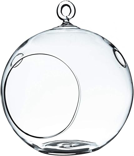 WGV Globo de terrario colgante, ancho 5 pulgadas, altura 6 pulgadas, maceta de aire para suculentas, florero de vidrio transparente con parte