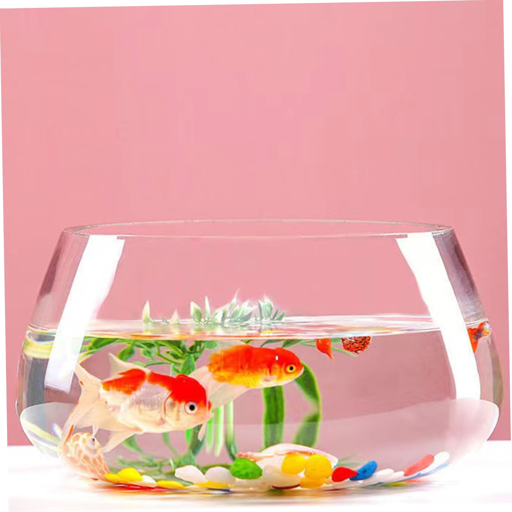 Ciieeo Großes Fischglas Aus Glas Dekorative Schale Für Zuhause Und Büro Glas Landschaftsaquarium