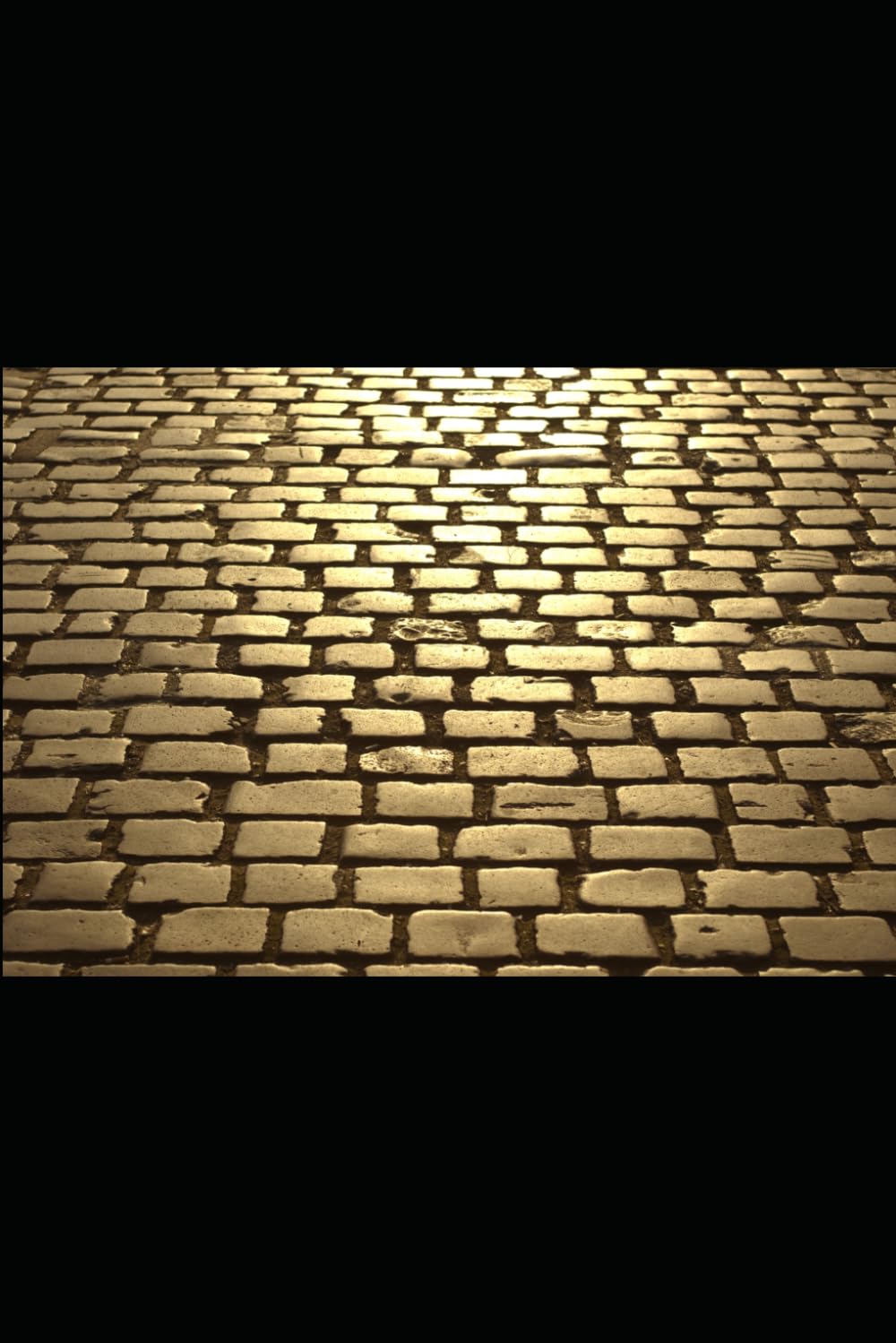Stoic Living 365: Embrace the Resilient Stoic Within