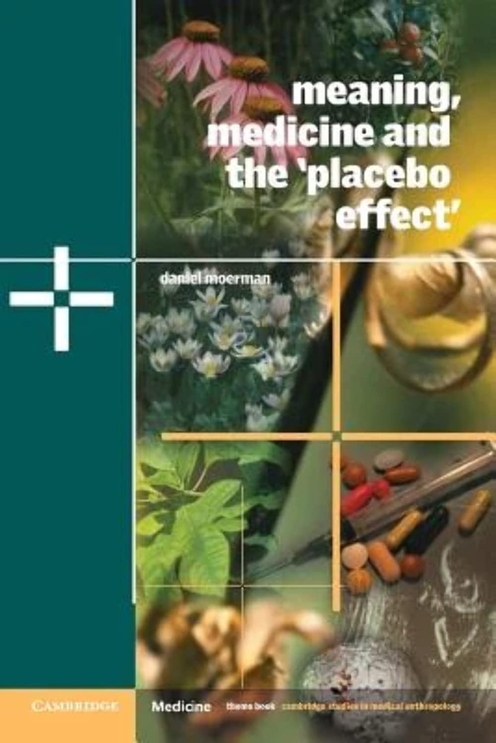 Meaning, Medicine and the 'Placebo Effect': 9 (Cambridge Studies in Medical Anthropology, Series Number 9)