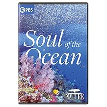 Nature Soul Of The Ocean