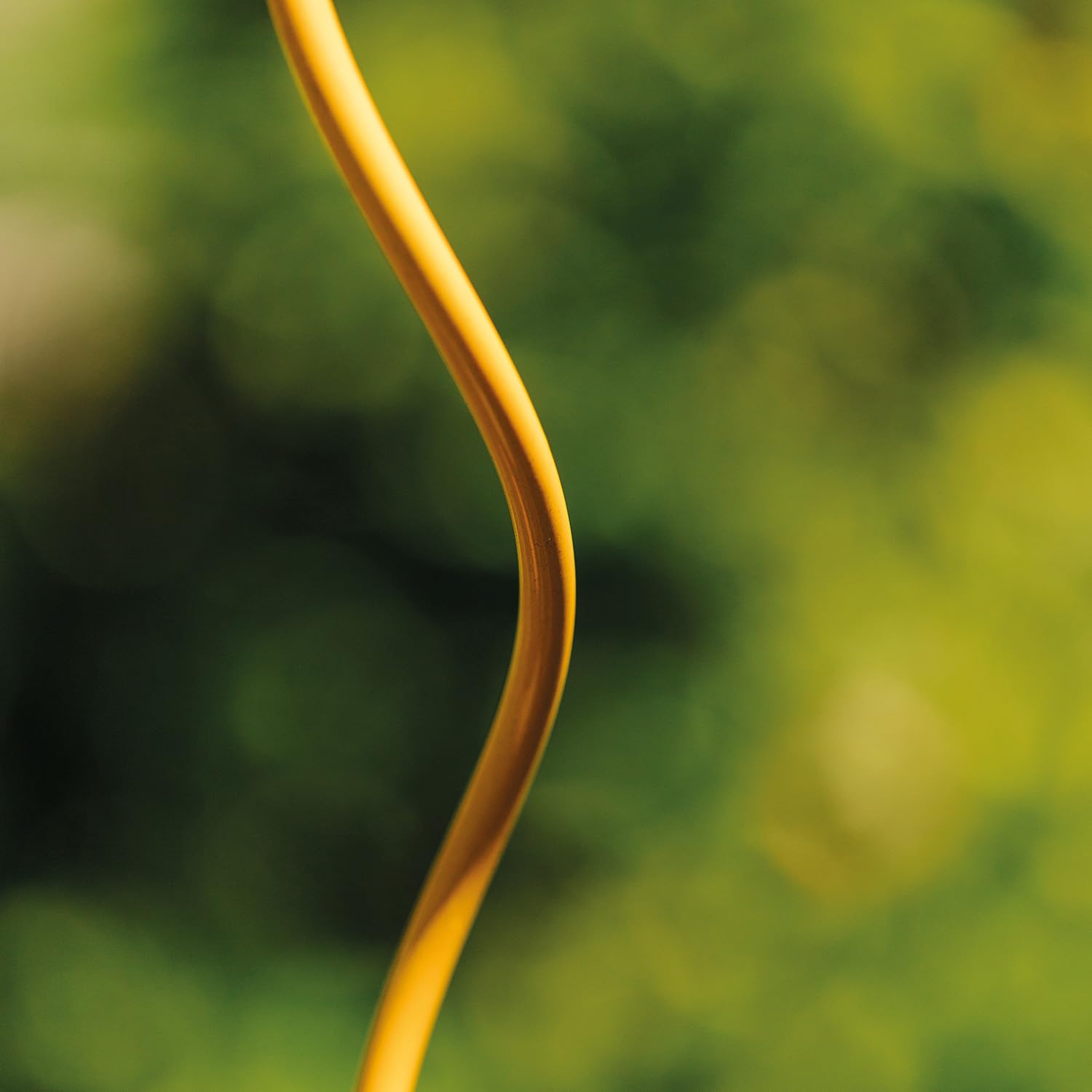 bellissa 10 spirali di pomodoro di alta qualità – aste di pomodoro e barre a spirale per il viticcio in giardino Colorata Miele 110 cm Ø 5 mm