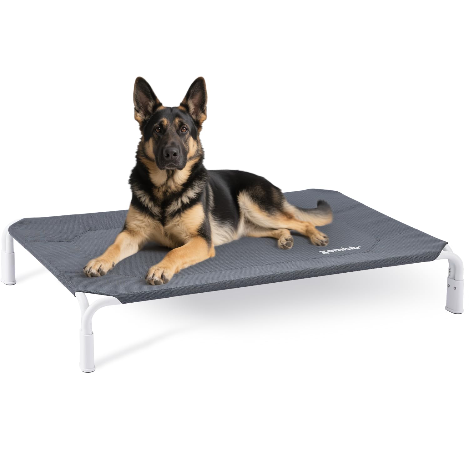 XL Elevated Dog Cot Bed Tool-Free Assembly - Outdoor Raised Dog Cooling Bed Frame for Large Pets, Summer Pet Hammock Off Ground with Non-Slip Feet & Waterproof Teslin Mesh, 48x33 Inch