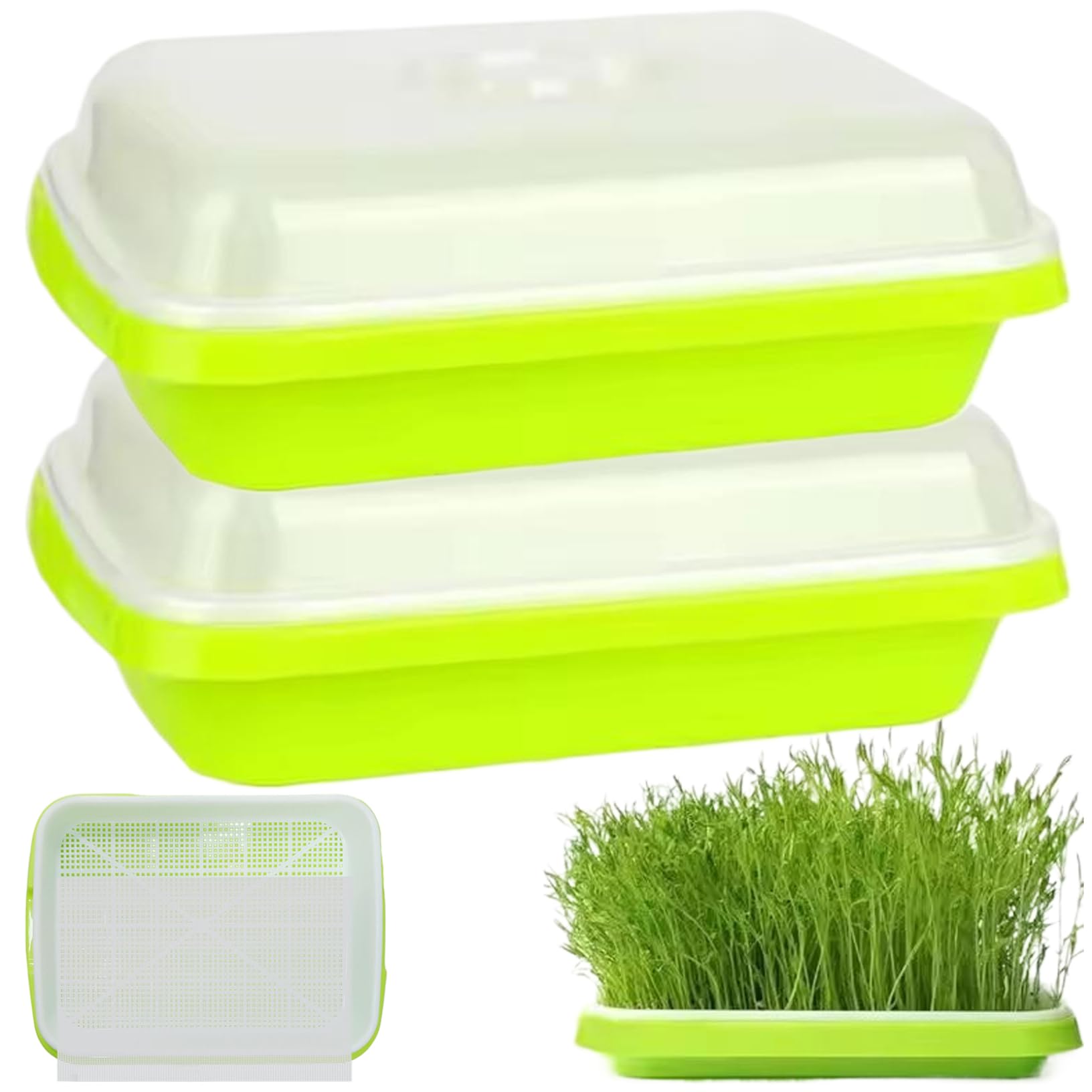 Hbbgdiy 2Pcs 13×10In Plastic Microgreens Growing Kit With Lids, Seed Sprouting Trays For Mung Beans, Wheatgrass & Hydroponic Indoor Garden