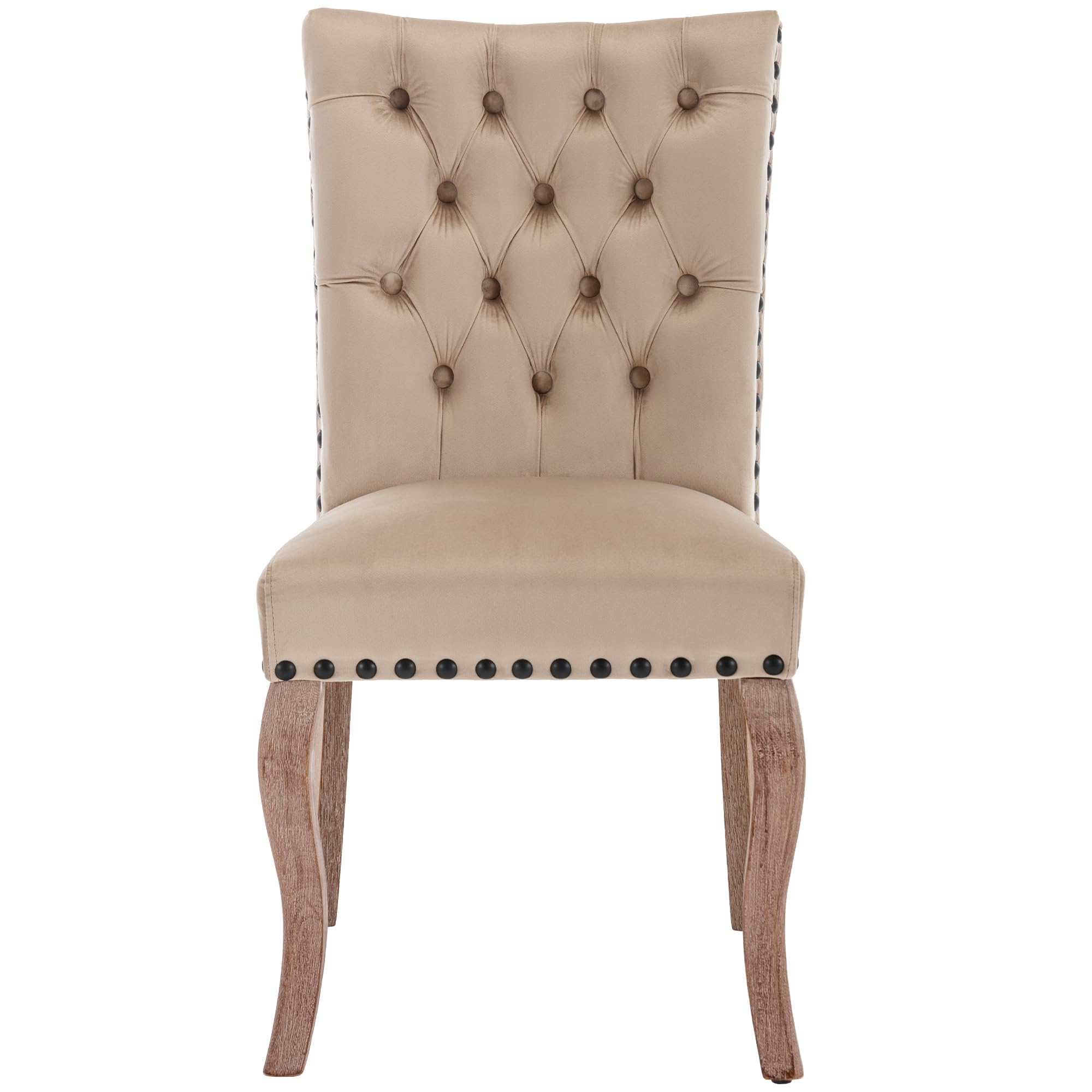 Sedia da pranzo (sedia da cucina, soggiorno con battente unico sul retro), sedia imbottita con testa di chiodo, gambe in legno massiccio, rivestimento in velluto, cammello chiaro, 6 pezzi