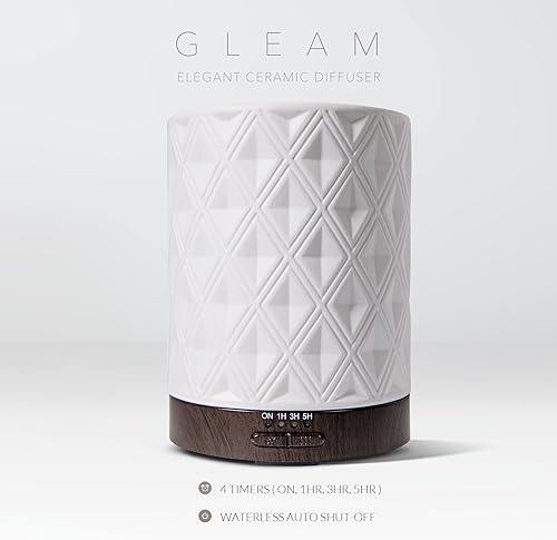 Miniatura 3 de Earnest Living - Difusores de cerámica Brillo Cerámico 8.5 fl oz,Brillo Cerámico 100 Ml,Cerámica Hueca 100 Ml,Brillo cerámico